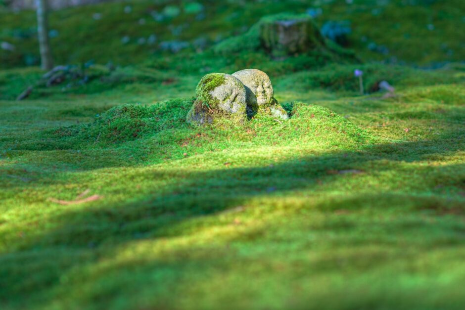 gray rock formation on grass field